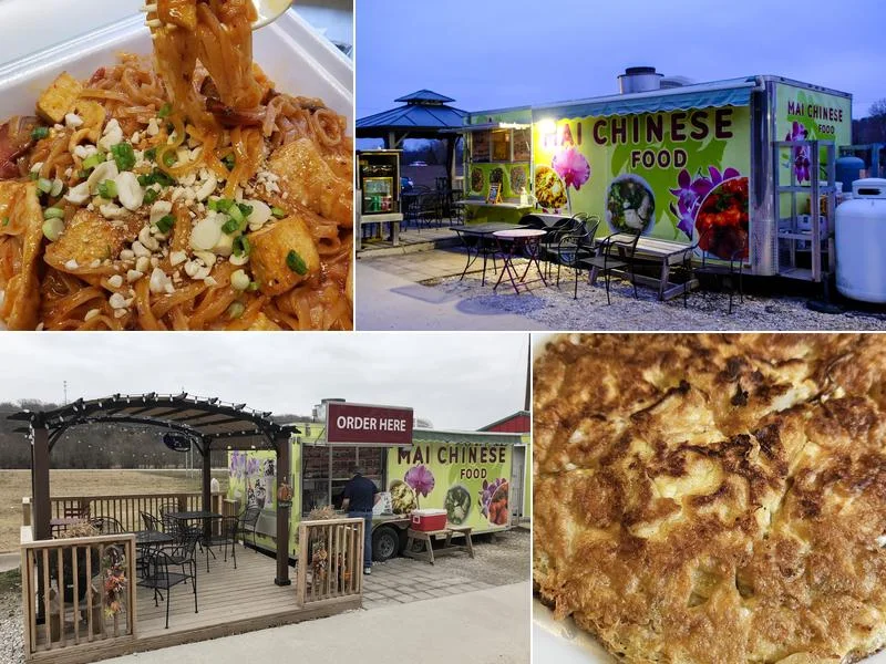 Mai Chinese Food Trailer (Food Truck) business photo
